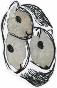 Watercolor of squirrels